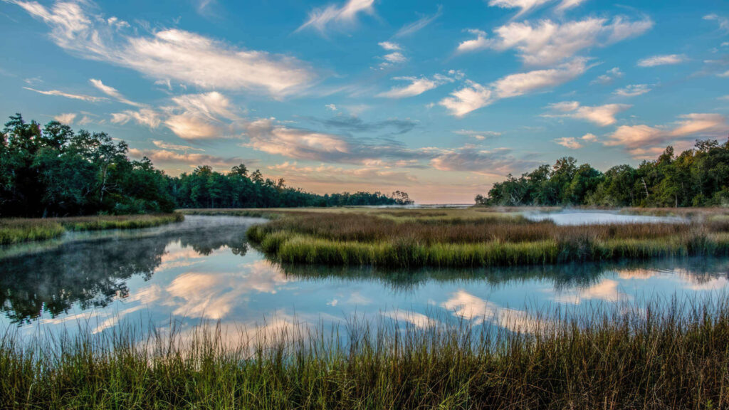 davis bayou area gulf islands national seashore.jpg