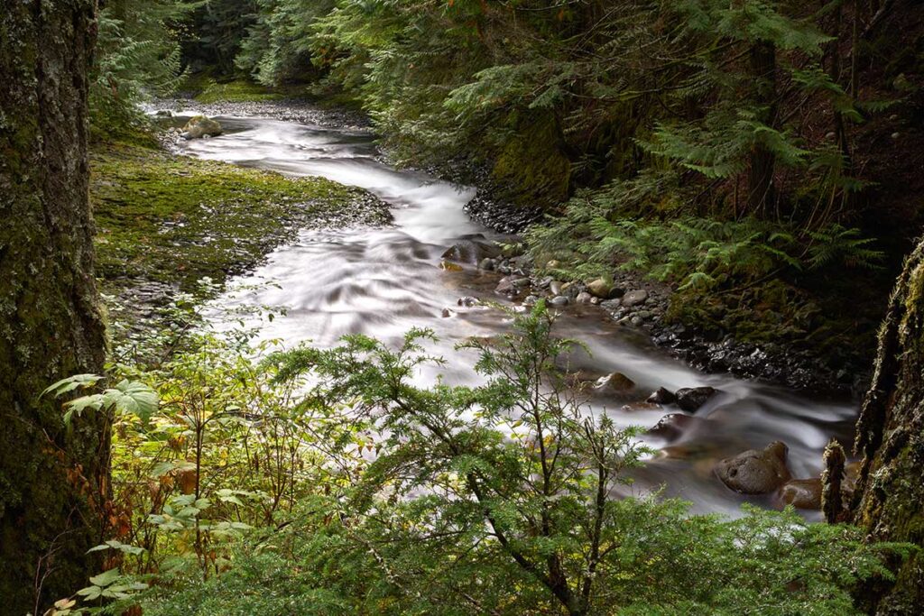 Delaware for Nature Lovers: Wildlife Refuges and Wonders delawares hidden gems for nature lovers.jpg