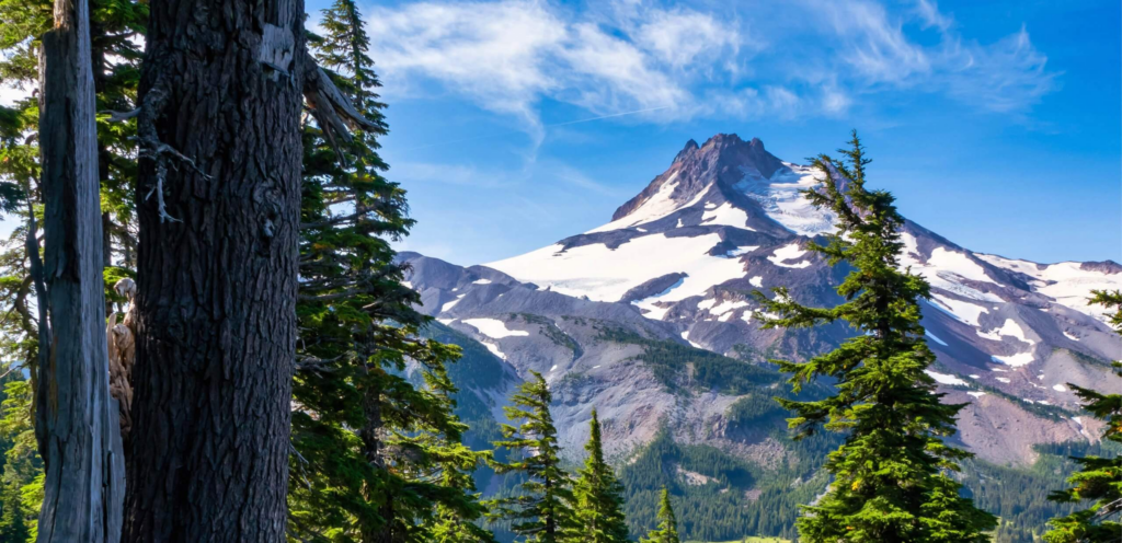 image 345ac379 6fe5 42b0 b31c 9164cdb3ccb2.png