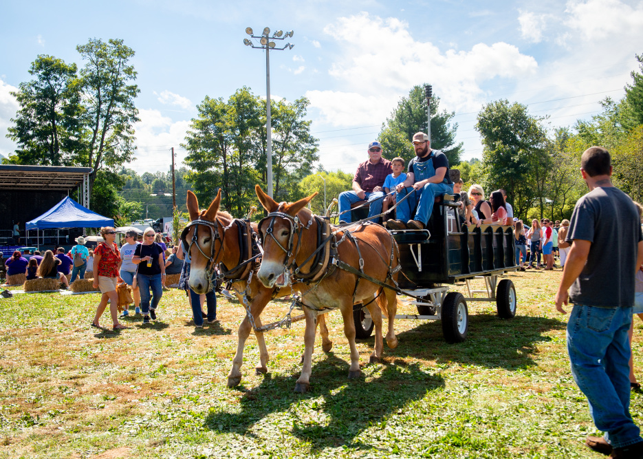 image 7a26acc9 ced1 49d1 aeac 2e8d9756e3eb.png