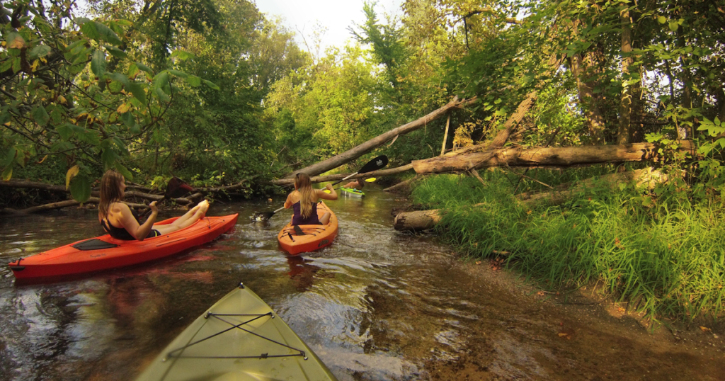 image 7fe24f45 49a1 4cb5 86d7 b0ed772aa88b.png