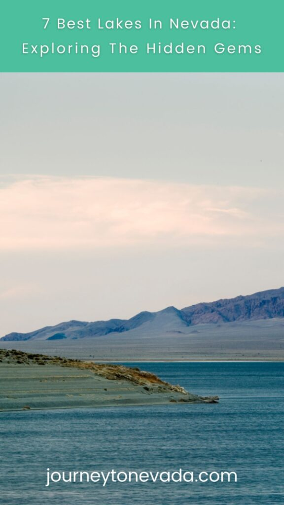 image ab4ffe3f 64a4 4adb a7e5 345cb56c0e1b.png