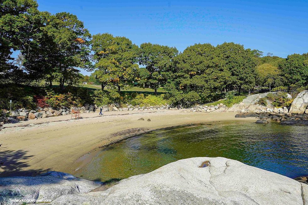 image eb832694 dfc0 4477 9f97 c756e499991d.png