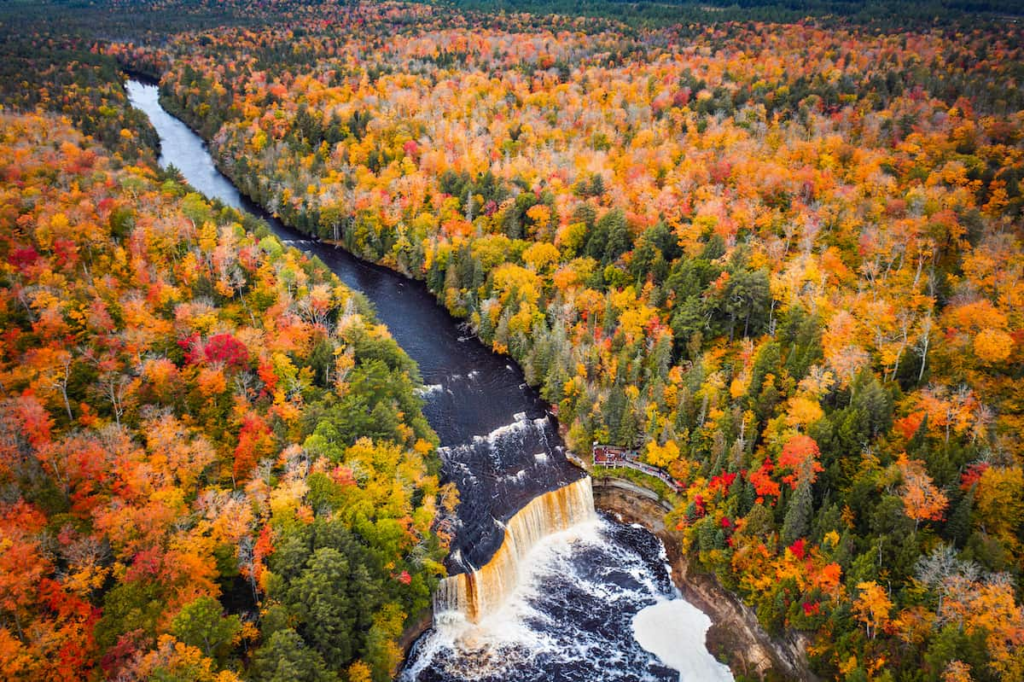 image f389c661 b0b6 498d a954 889e02c9442f.png