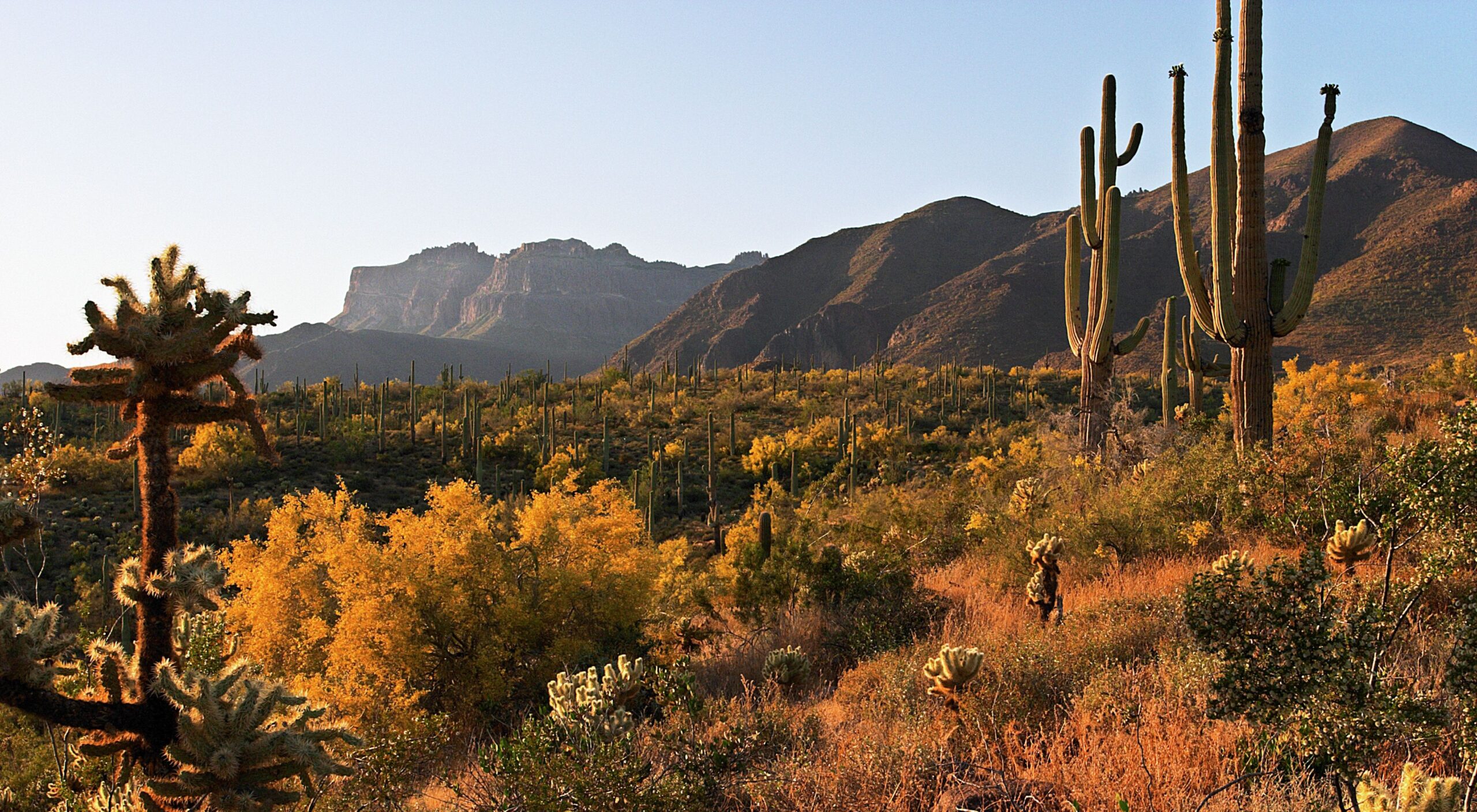 the pulse of arizona news: current events and hot topics